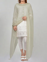 Load image into Gallery viewer, Chiffon Dupatta-Earthy Tone
