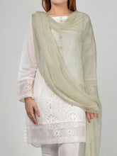 Load image into Gallery viewer, Chiffon Dupatta-Earthy Tone
