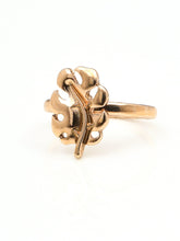 Load image into Gallery viewer, Multi Pack Rings
