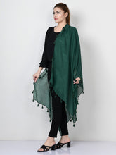 Load image into Gallery viewer, Tassel Scarf
